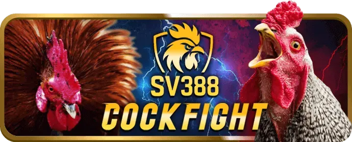 Dịch vụ khách hàng chuyên nghiệp